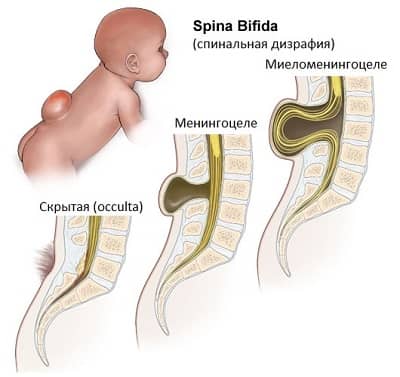 Организация исследования